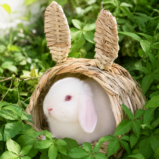 Handwoven Straw Nest for Rabbits and Small Pets