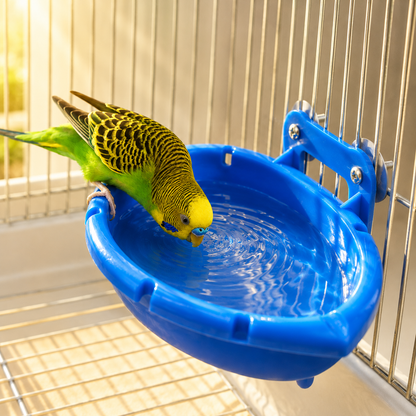 Splash & Dine Bird Bath Feeder