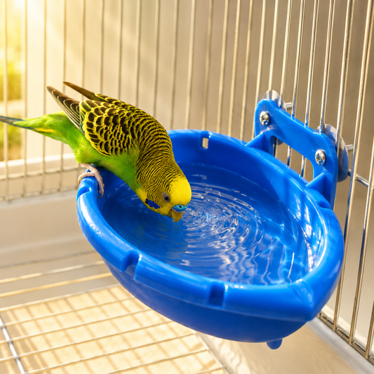 Splash & Dine Bird Bath Feeder