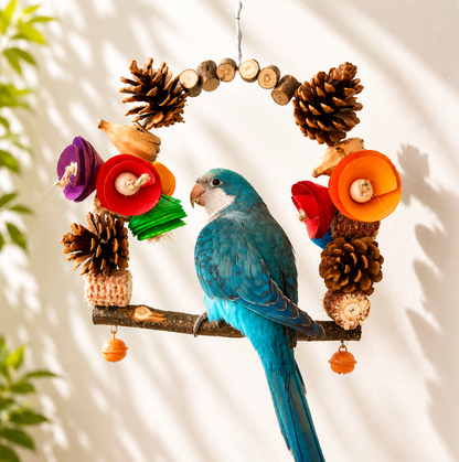 Colourful Wooden Perch Ring for Birds