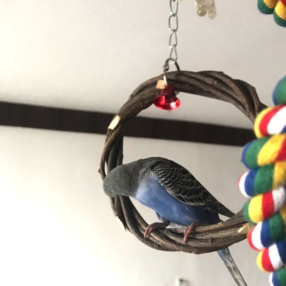 Apple Wood Ring Chewing & Branch Stick for Birds