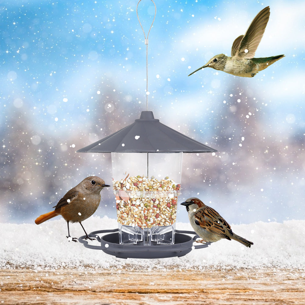 Garden Pavilion Bird Feeder