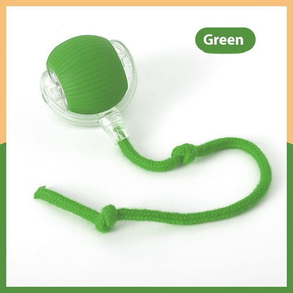 Interactive Automatic Rolling Ball Toy for Cats
