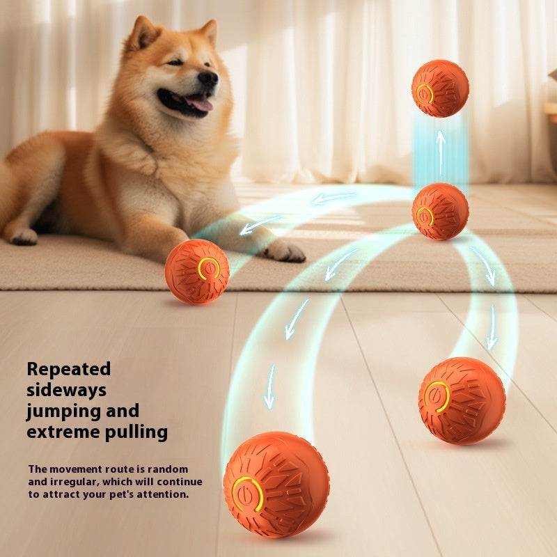 Automatic Dog Interactive Ball Toy
