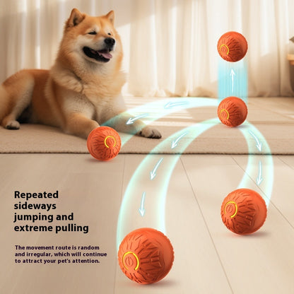 Automatic Dog Interactive Ball Toy