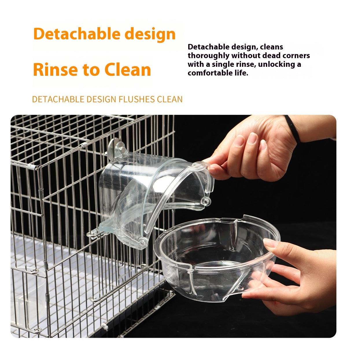 Transparent Planetary Bath Tub for Birds