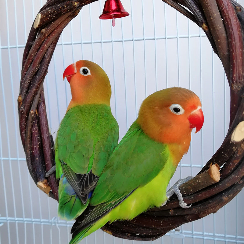 Apple Wood Ring Chewing & Branch Stick for Birds