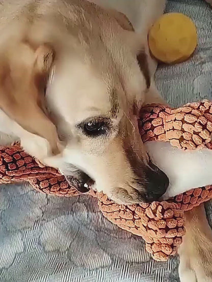 Plush Dinosaur Squeaky Toy