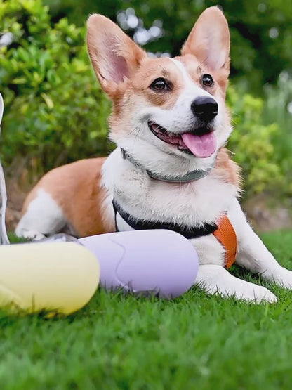 Portable Foldable Dog Water Bottle