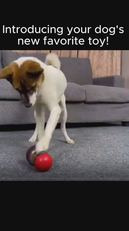 Interactive Treat-Dispensing Dog Puzzle Tumbler Toy