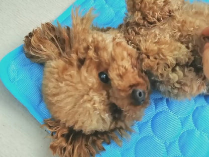 Ice Silk Cooling Pet Mat
