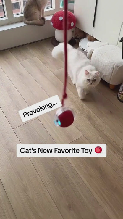 Interactive Automatic Rolling Ball Toy for Cats