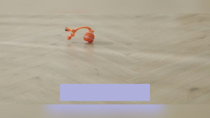 Motion & Sound Activated Rolling Dog Ball