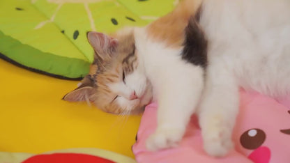 Soft Cooling Pet Ice Pad for Summer
