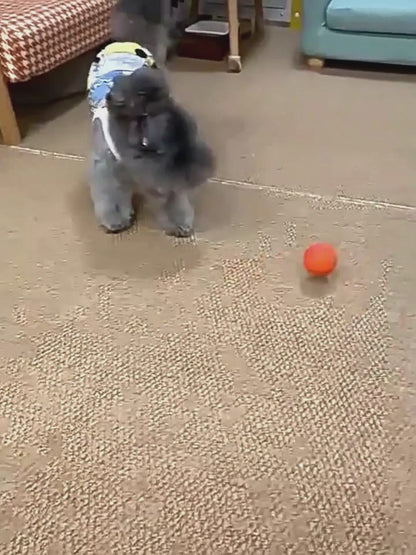 Automatic Dog Interactive Ball Toy