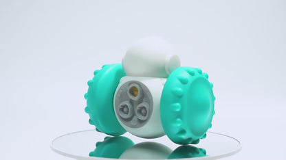 Interactive Slow Feeder Balance Toy for Dogs & Cats