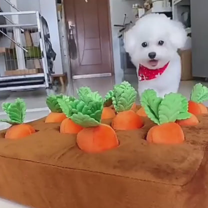 Carrot Plush Snuffle Toy