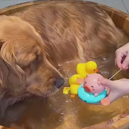 Long Handle Pet Bath Brush