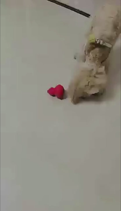 Rubber Chew Toy for Dogs
